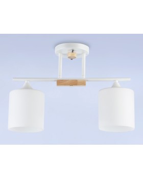 Накладной светильник Ambrella Light TR9541-foto3