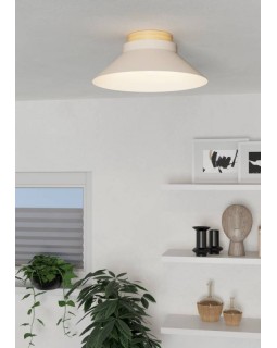 Накладной светильник EGLO 900736-foto2