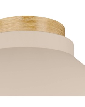 Накладной светильник EGLO 900736-foto3