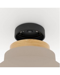 Накладной светильник EGLO 900736-foto4