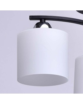 Люстра на штанге DeMarkt 673011203-foto5