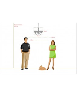 Подвесная люстра MW-Light 318011103-foto2