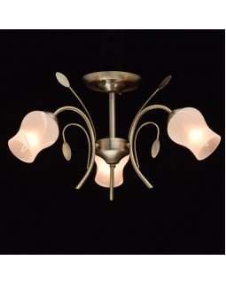 Люстра на штанге MW-Light 256018103-foto2