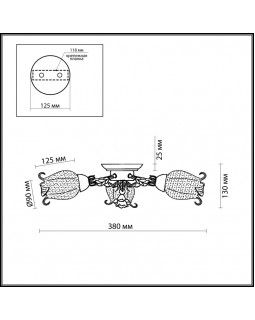 Накладная люстра Odeon Light 2252/3C-foto2