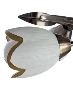 Накладная люстра ARTE Lamp A6061PL-4AB-foto4