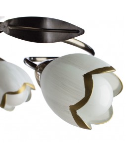 Накладная люстра ARTE Lamp A6061PL-6AB-foto3