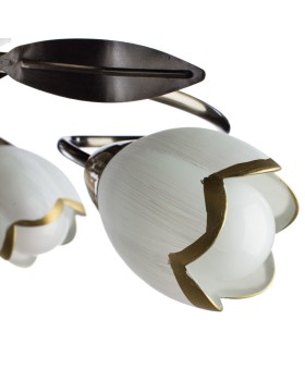 Накладная люстра ARTE Lamp A6061PL-6AB-foto3