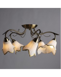 Накладная люстра ARTE Lamp A6066PL-5AB-foto2