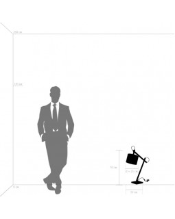 Настольная лампа Lightstar 766919-foto2