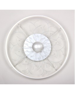 Накладной светильник Favourite 2533-6C-foto5