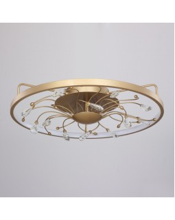 Накладной светильник Favourite 2534-5C-foto2