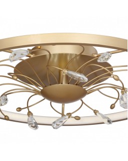 Накладной светильник Favourite 2534-5C-foto3