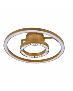 Накладной светильник Favourite 2546-2U-foto2