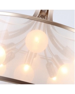 Подвесная люстра Favourite 2551-9P-foto3