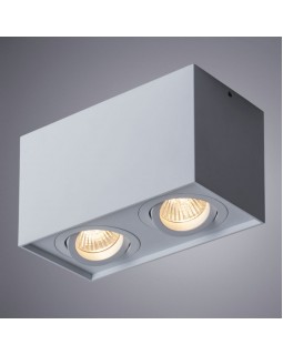 Накладной светильник ARTE Lamp A5544PL-2WH-foto2