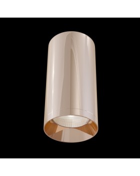 Накладной светильник Maytoni Technical C010CL-01RG-foto2