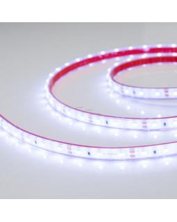 Лента Arlight 016839-foto2