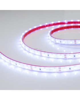 Лента Arlight 016839-foto2