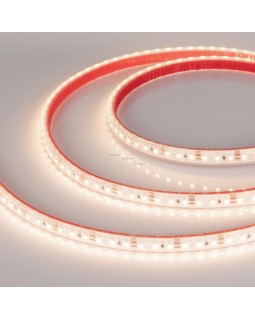 Лента Arlight 022319-foto2