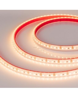 Лента Arlight 022320-foto2