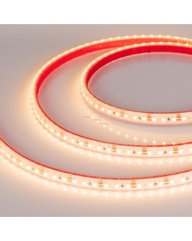 Лента Arlight 022320-foto2