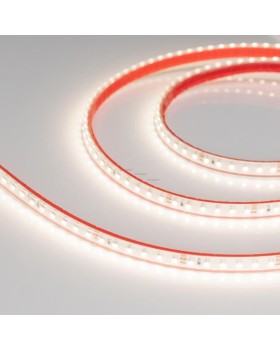 Лента Arlight 022322-foto2