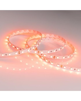 Лента Arlight 015974-foto2