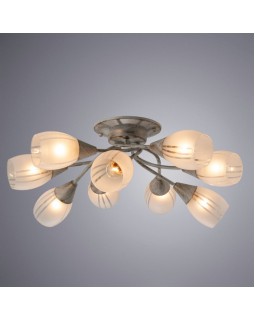 Накладная люстра ARTE Lamp A2701PL-9WG-foto2