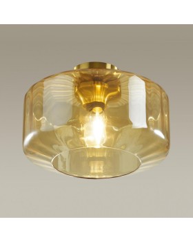 Накладной светильник Odeon Light 4747/1C-foto4