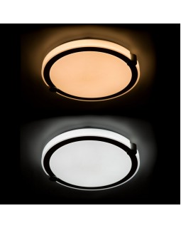 Накладной светильник ARTE Lamp A2679PL-72WH-foto3