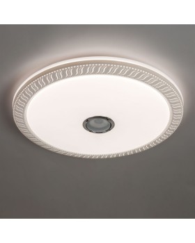 Накладной светильник ARTE Lamp A2674PL-72WH-foto2