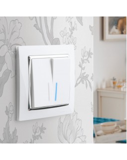 Выключатель Werkel W1122101-foto2