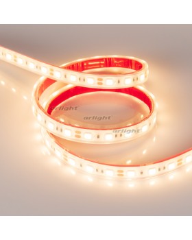 Лента Arlight 013587(2)-foto3