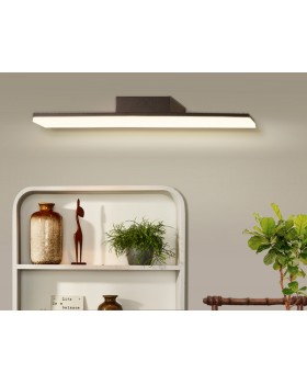 Светильник для картин Ambrella Light FW422-foto3