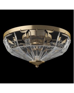 Накладной светильник Maytoni MOD094CL-04G-foto2