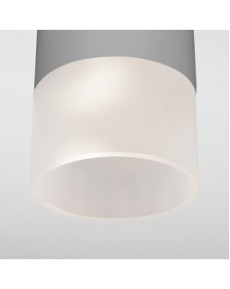 Уличный светильник Elektrostandard Light LED 2106 (35139/H) серый-foto2