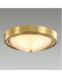 Накладной светильник LUMION 5259/2C-foto2