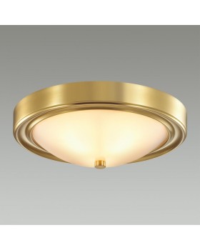 Накладной светильник LUMION 5259/2C-foto2