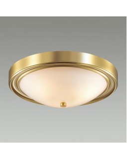 Накладной светильник LUMION 5259/3C-foto2