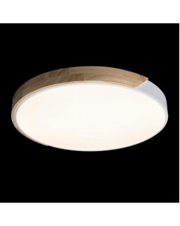 Накладной светильник LOFT IT 10004/36 White-foto2