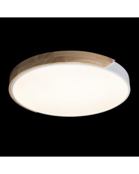 Накладной светильник LOFT IT 10004/36 White-foto2