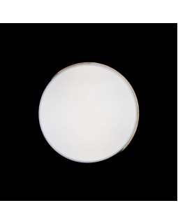 Накладной светильник LOFT IT 10004/36 White-foto6