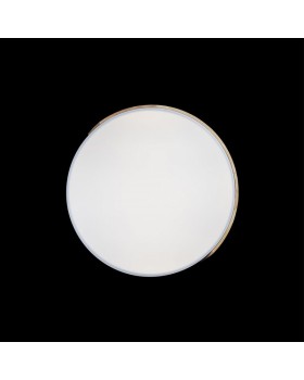 Накладной светильник LOFT IT 10004/36 White-foto6