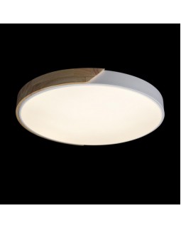 Накладной светильник LOFT IT 10004/36 White-foto7