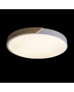 Накладной светильник LOFT IT 10004/36 White-foto7