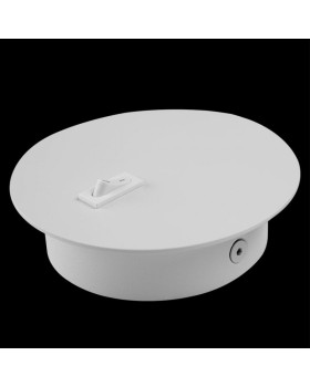 Бра LOFT IT 10010WH-foto4