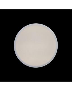 Накладной светильник LOFT IT 10002/12 White-foto4