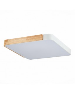 Накладной светильник Evoluce SLE201252-01-foto4