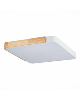 Накладной светильник Evoluce SLE201252-01-foto4