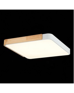 Накладной светильник Evoluce SLE201252-01-foto5